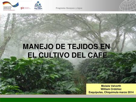 Esquipulas, Chiquimula marzo 2014