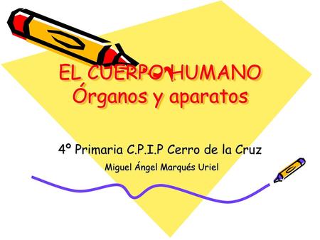 EL CUERPO HUMANO Órganos y aparatos