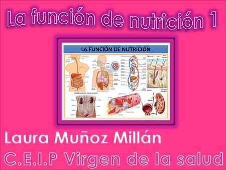 La función de nutrición 1
