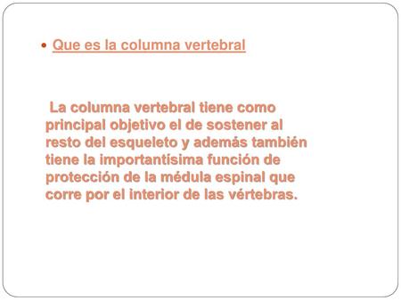 Que es la columna vertebral