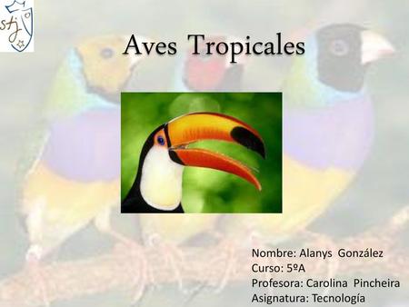 Aves Tropicales Nombre: Alanys González Curso: 5ºA