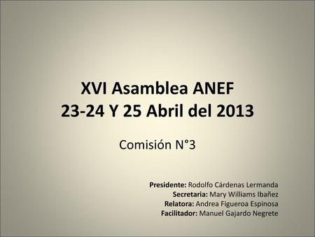 XVI Asamblea ANEF Y 25 Abril del 2013
