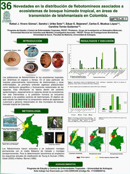 RESULTADOS Y DISCUSIÓN