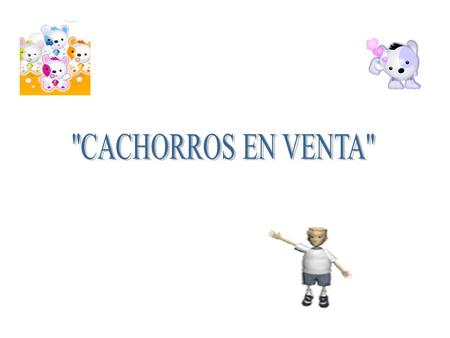 El dueño de una tienda estaba colocando un anuncio en la puerta que decía: “Se venden perritos”. Esta clase de anuncio siempre atrae a los niños y fue.