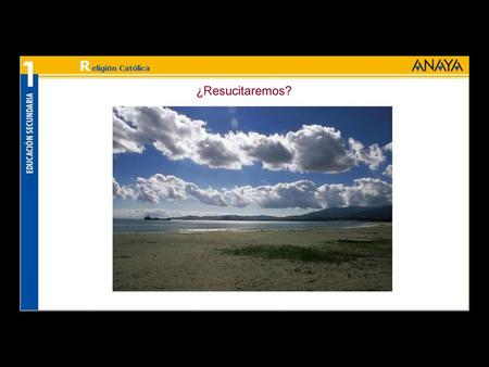 ¿Resucitaremos?.