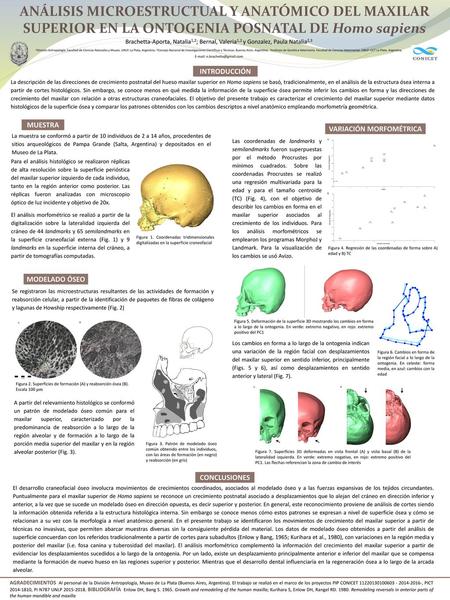 VARIACIÓN MORFOMÉTRICA