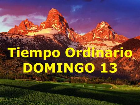 Tiempo Ordinario DOMINGO 13.