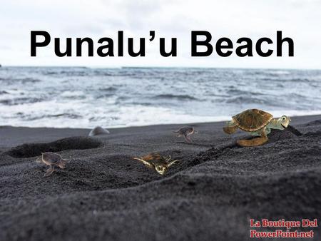 Punalu’u Beach La Boutique Del PowerPoint.net.