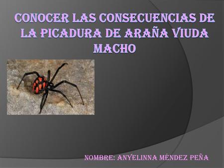 Conocer las Consecuencias de la picadura de araña viuda macho