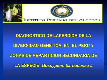 DIAGNOSTICO DE LAPERDIDA DE LA DIVERSIDAD GENETICA EN EL PERU Y ZONAS DE REPARTICION SECUNDARIA DE LA ESPECIE Gossypium barbadense L.