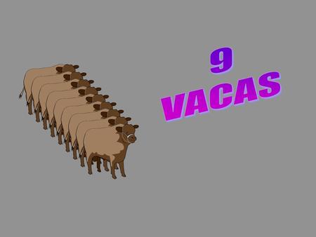 9 VACAS.