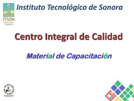 Instituto Tecnológico de Sonora
