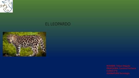 EL LEOPARDO NOMBRE: Felipe Delgado PROFESORA: Carolina Pincheira CURSO:5*A ASIGNATURA:Tecnologia.