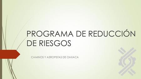 PROGRAMA DE REDUCCIÓN DE RIESGOS