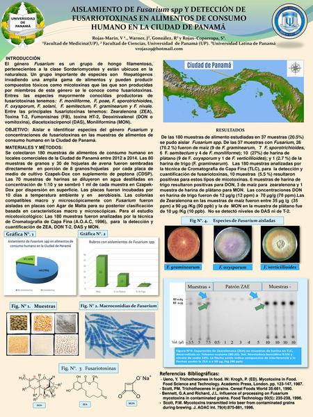 AISLAMIENTO DE Fusarium spp Y DETECCIÓN DE