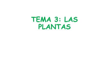 TEMA 3: LAS PLANTAS.