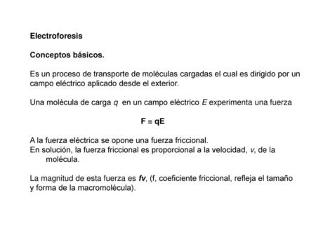 Electroforesis Conceptos básicos.