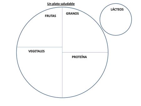 Un plato saludable LÁCTEOS GRANOS FRUTAS VEGETALES PROTEĺNA.