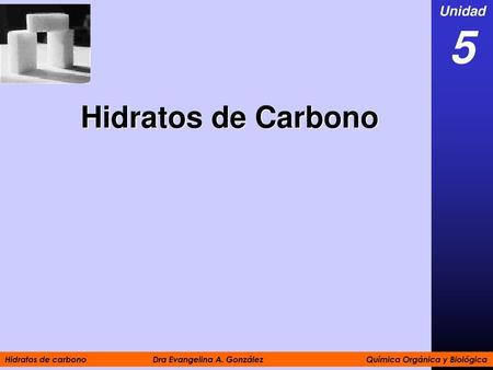 5 Hidratos de Carbono Unidad
