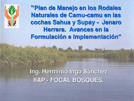 Ing. Herminio Inga Sánchez
