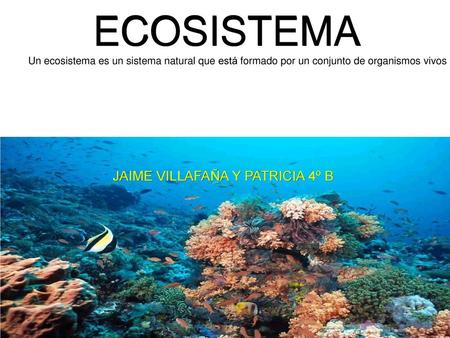 ECOSISTEMA JAIME VILLAFAÑA Y PATRICIA 4º B