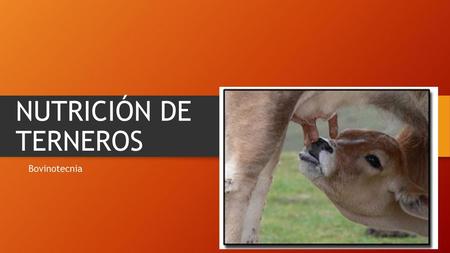 NUTRICIÓN DE TERNEROS Bovinotecnia.