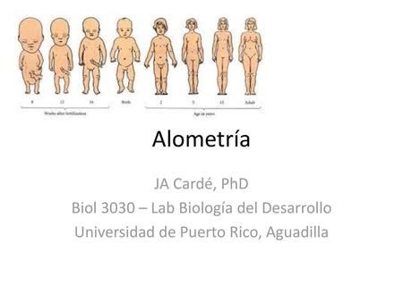 Alometría JA Cardé, PhD Biol 3030 – Lab Biología del Desarrollo
