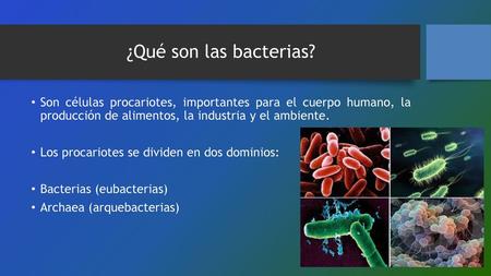 ¿Qué son las bacterias? Son células procariotes, importantes para el cuerpo humano, la producción de alimentos, la industria y el ambiente. Los procariotes.