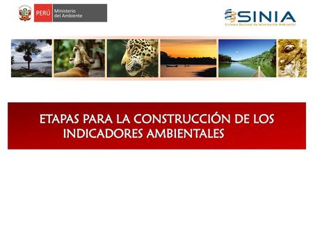 ETAPAS PARA LA CONSTRUCCIÓN DE LOS INDICADORES AMBIENTALES