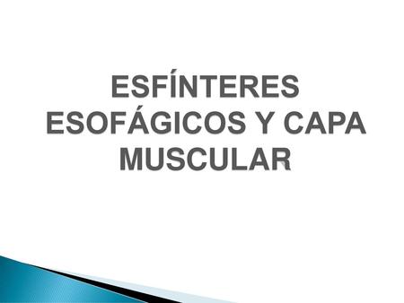 ESFÍNTERES ESOFÁGICOS Y CAPA MUSCULAR