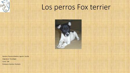 Los perros Fox terrier Nombre: Florencia Medina Agustín Carrillo
