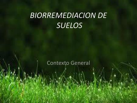 BIORREMEDIACION DE SUELOS