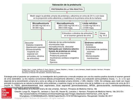 Estrategia ante el paciente con proteinuria