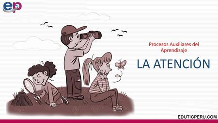 Procesos Auxiliares del Aprendizaje