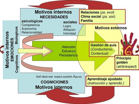 Cognitivos Biologicos