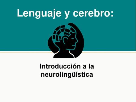 Introducción a la neurolingüística