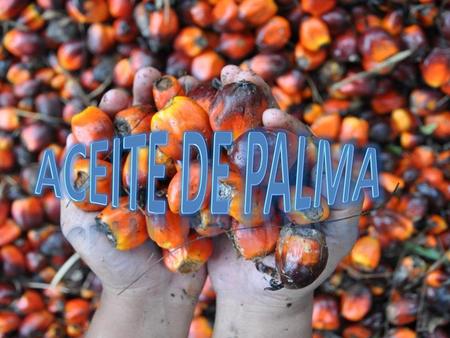 ACEITE DE PALMA.