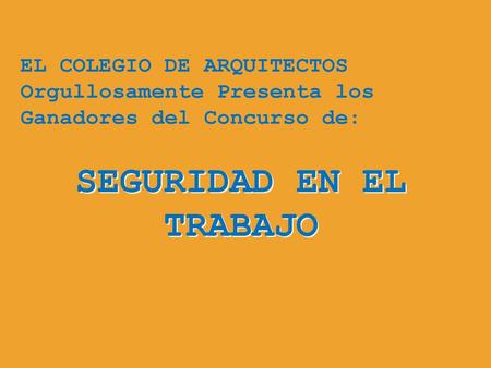 SEGURIDAD EN EL TRABAJO