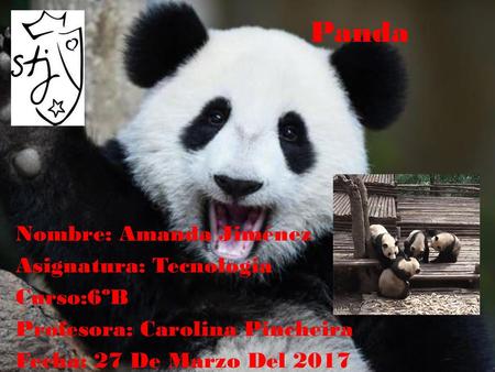 Panda Nombre: Amanda Jiménez Asignatura: Tecnologia Curso:6ºB