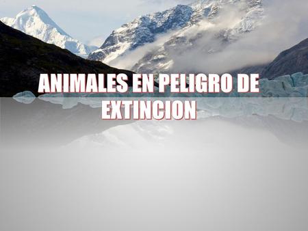 ANIMALES EN PELIGRO DE EXTINCION