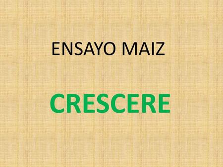 ENSAYO MAIZ CRESCERE.