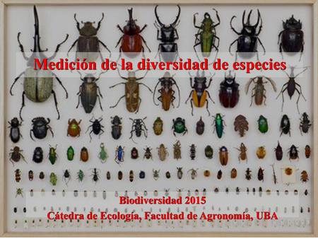 Medición de la diversidad de especies