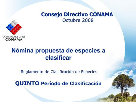 Consejo Directivo CONAMA Octubre 2008