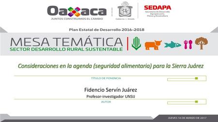 Consideraciones en la agenda (seguridad alimentaria) para la Sierra Juárez Fidencio Servín Juárez Profesor-investigador UNSIJ.