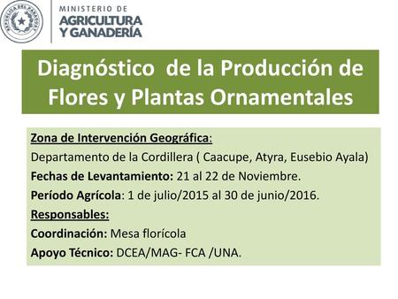 Diagnóstico de la Producción de Flores y Plantas Ornamentales