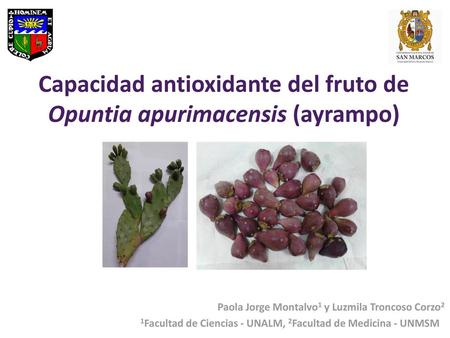 Capacidad antioxidante del fruto de Opuntia apurimacensis (ayrampo)