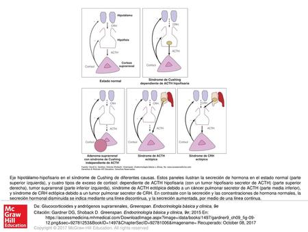 Eje hipotálamo-hipofisario en el síndrome de Cushing de diferentes causas. Estos paneles ilustran la secreción de hormona en el estado normal (parte superior.