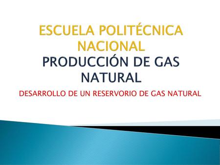 ESCUELA POLITÉCNICA NACIONAL PRODUCCIÓN DE GAS NATURAL