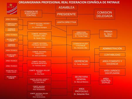 ORGANIGRAMA PROFESIONAL REAL FEDERACION ESPAÑOLA DE PATINAJE