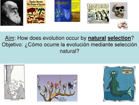 Aim: How does evolution occur by natural selection